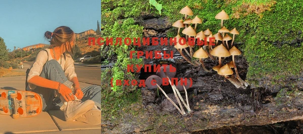 скорость Баксан