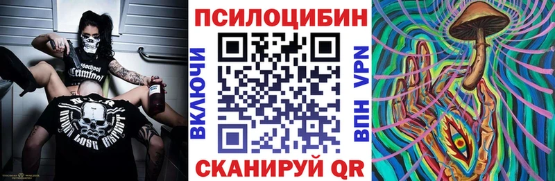 Галлюциногенные грибы Cubensis  хочу   Кузнецк 